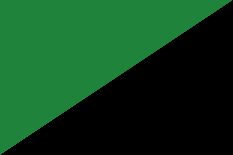 A flag, green and black, bisected diagonally.